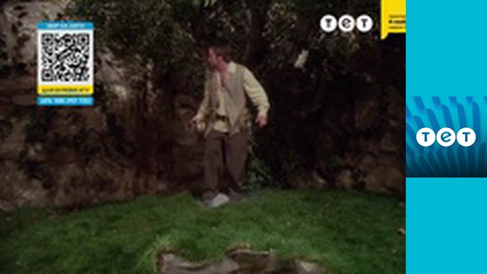 Всі жінки - відьми