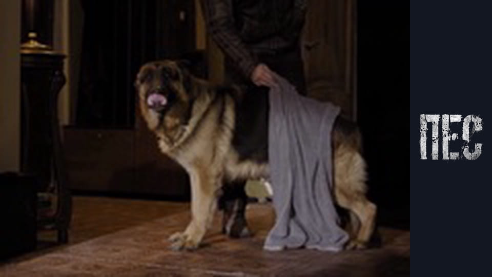 Dog, Season 2, Episode 21