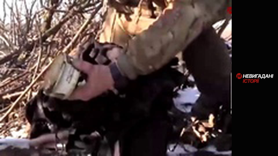 Невигадані історії.