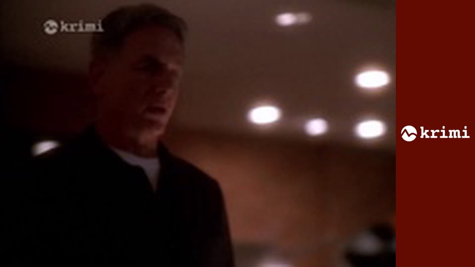 NCIS - Námorný vyšetrovací úrad S2E14 - Svedkyňa