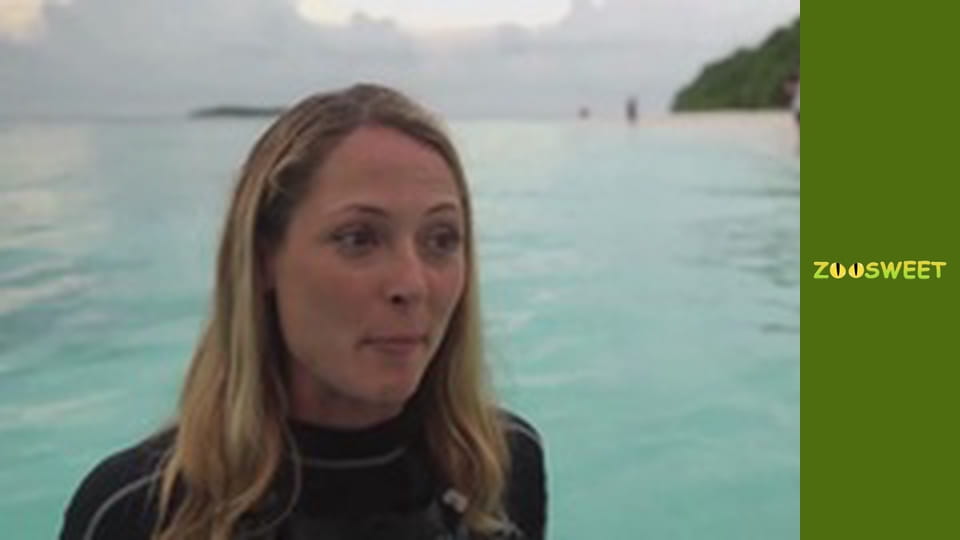 My favorite - episode 4