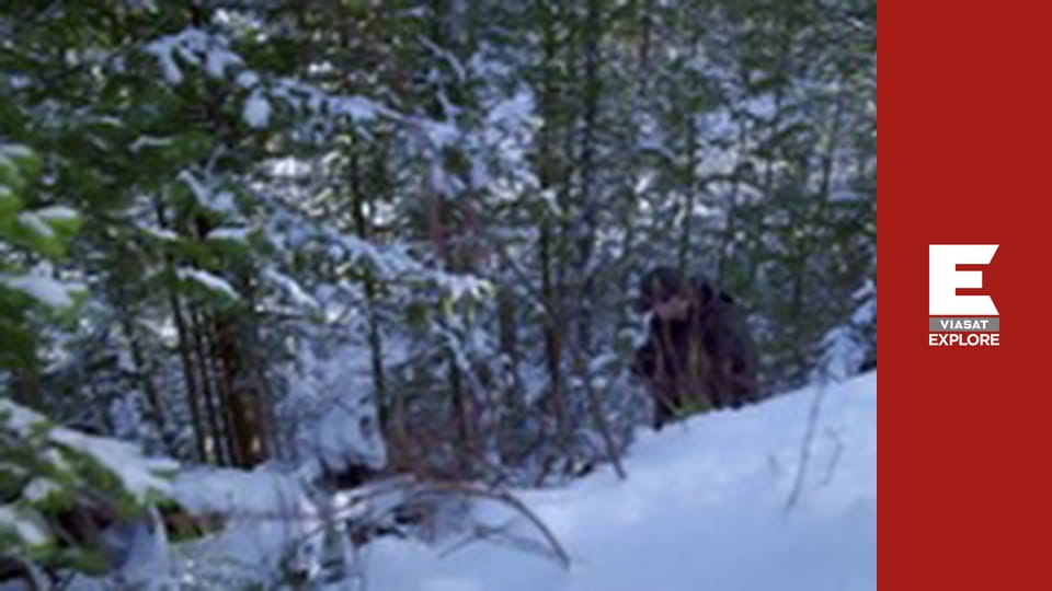 Backroad Truckers - Hauling Ass