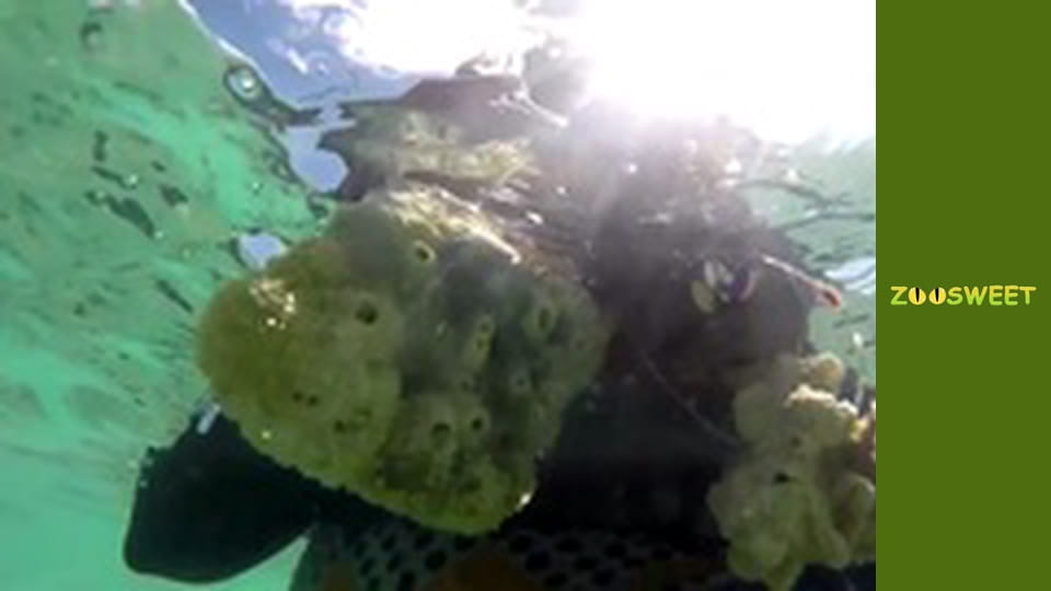 My favorite - episode 12