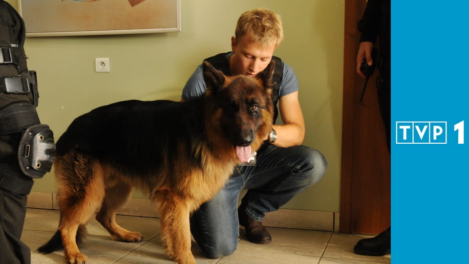 Komisarz Alex S3E7 - Nowy