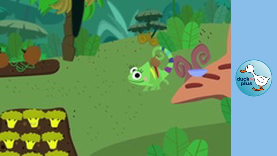 Color Clara - Healthy Vegetables