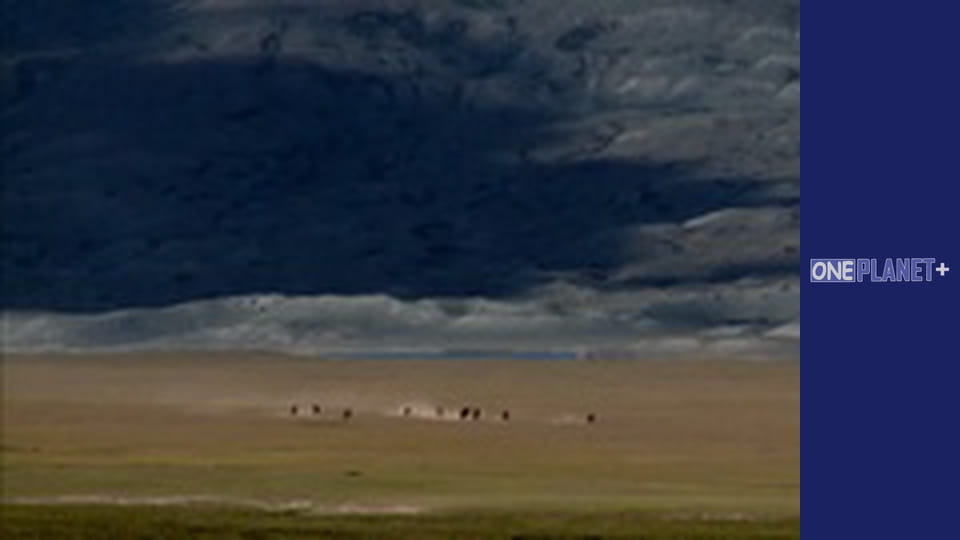 Unlocking the Past, Episode 6