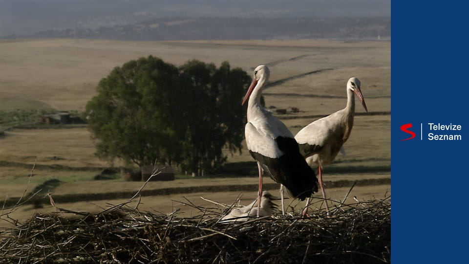Kalendář přírody E9 - Září