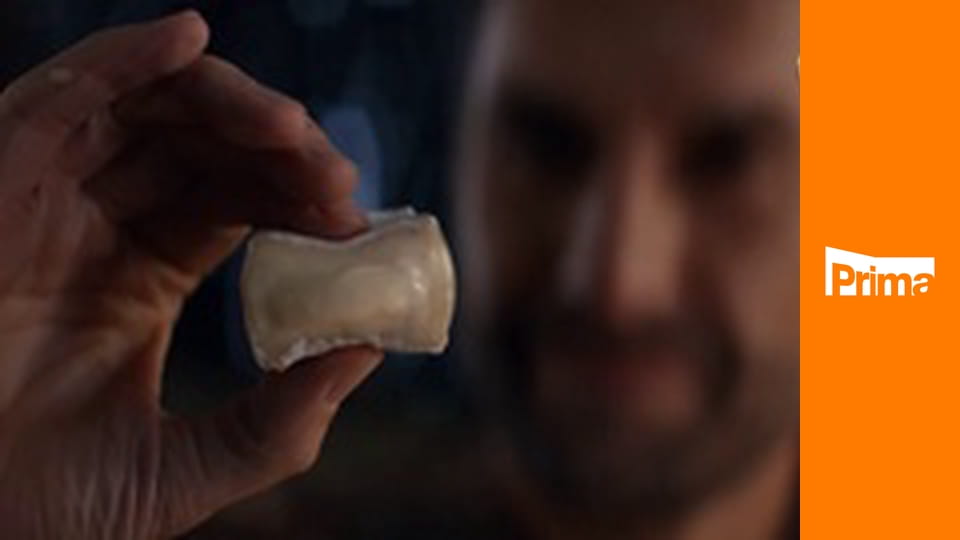 Jazzem válku nevyhrajete!