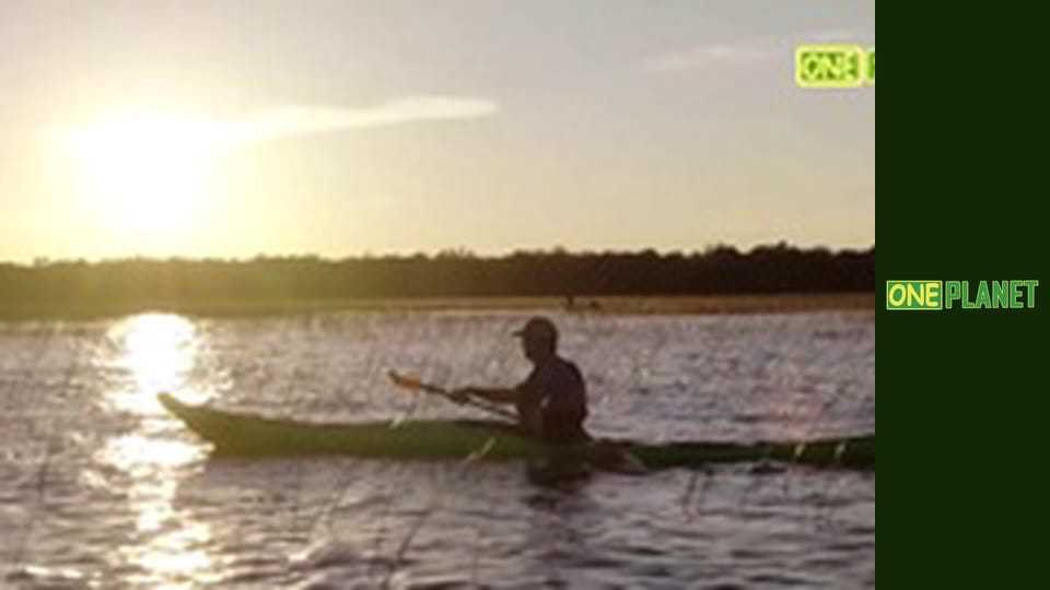 Лицом к лицу с волной, 4 эп.