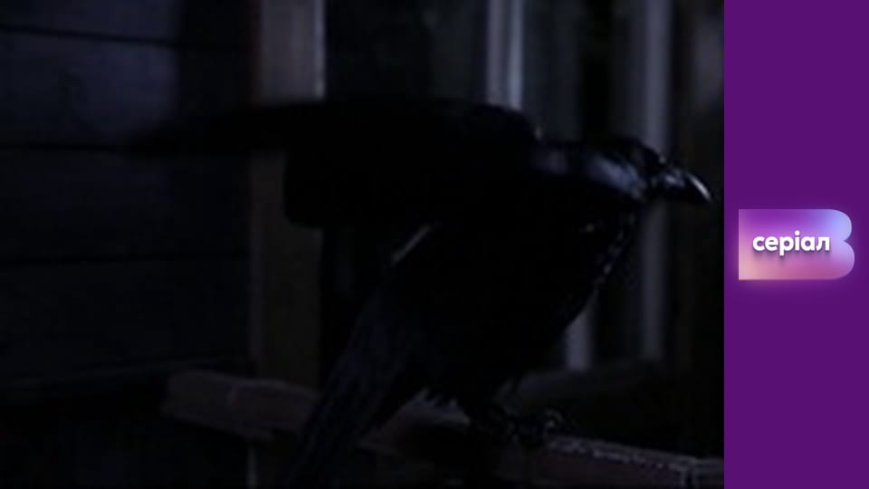 "Реальна містика", 2 сезон, 16 еп. "Ворон".