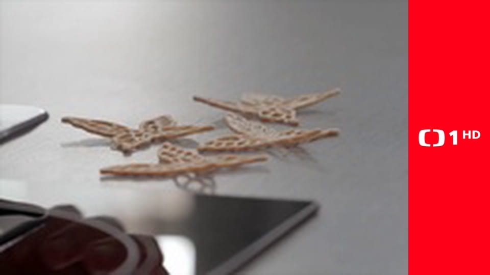 Každý deň sa rodí život