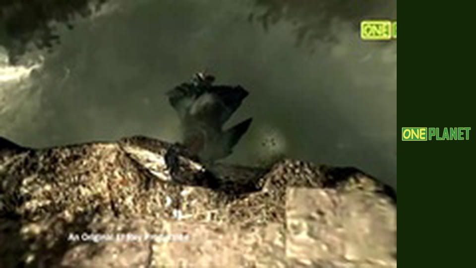 Оружие древности: искусство войны, 10 эп.