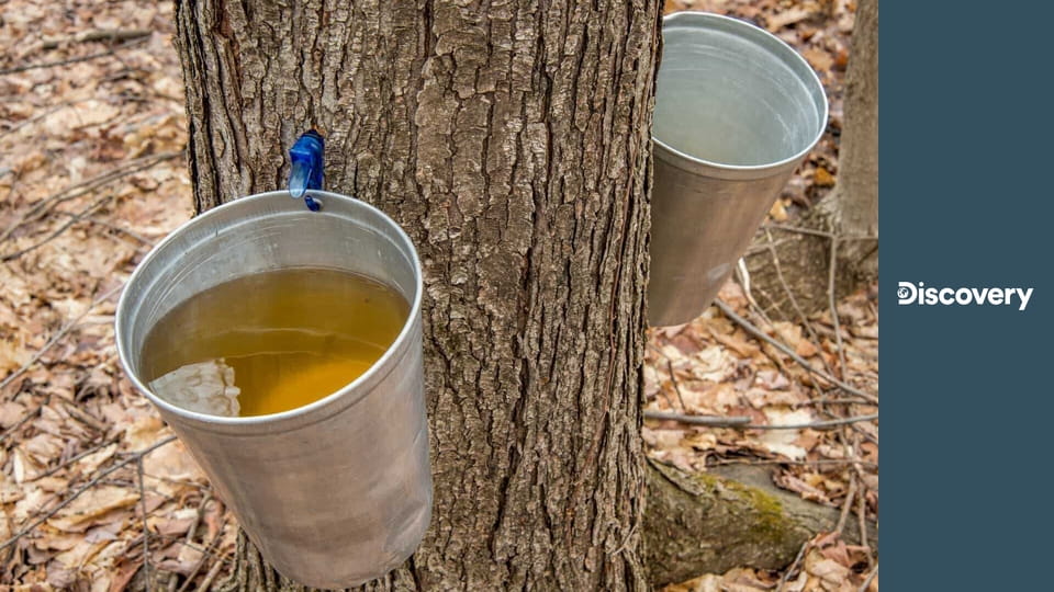 Jak to dělají? S15E9