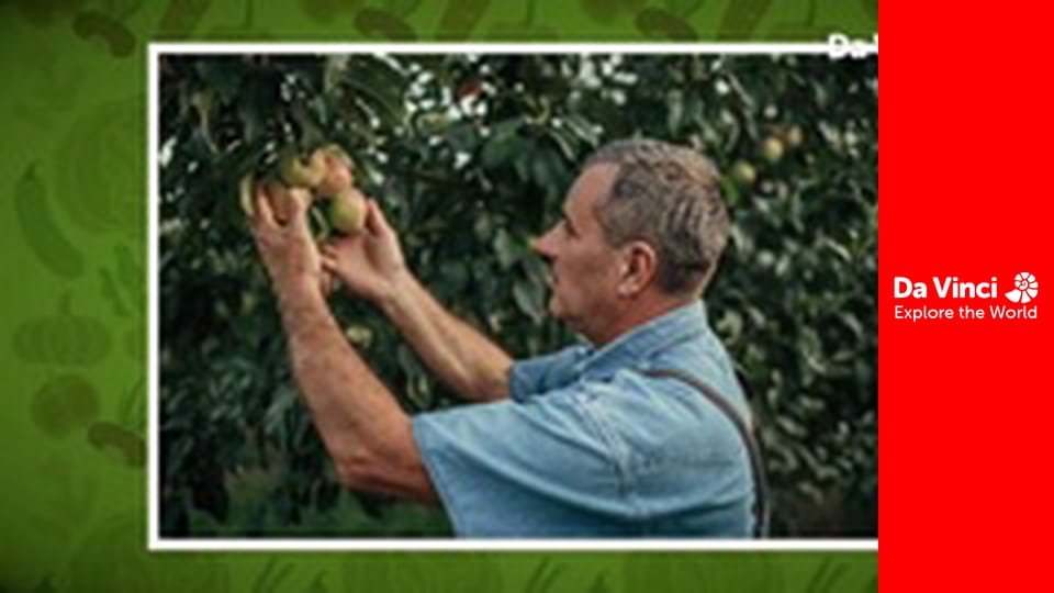 Do You Know? - Maddie, the Home and You - Growing and Cooking