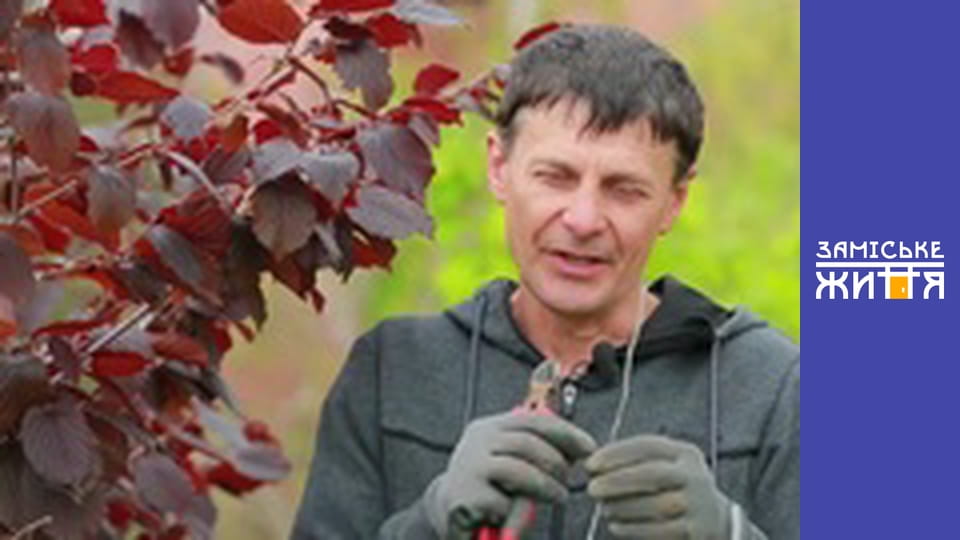 "Summer residents" season 2 series 7