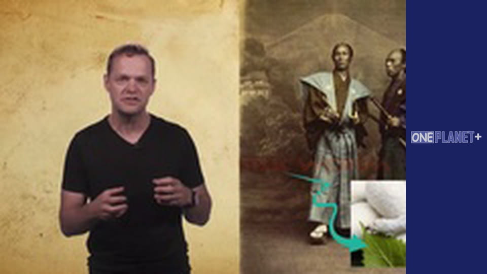 With Knight about art - series 9