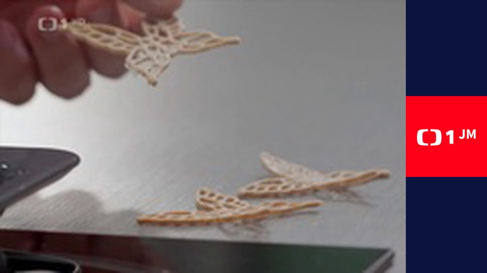 Každý den se rodí život - Únor