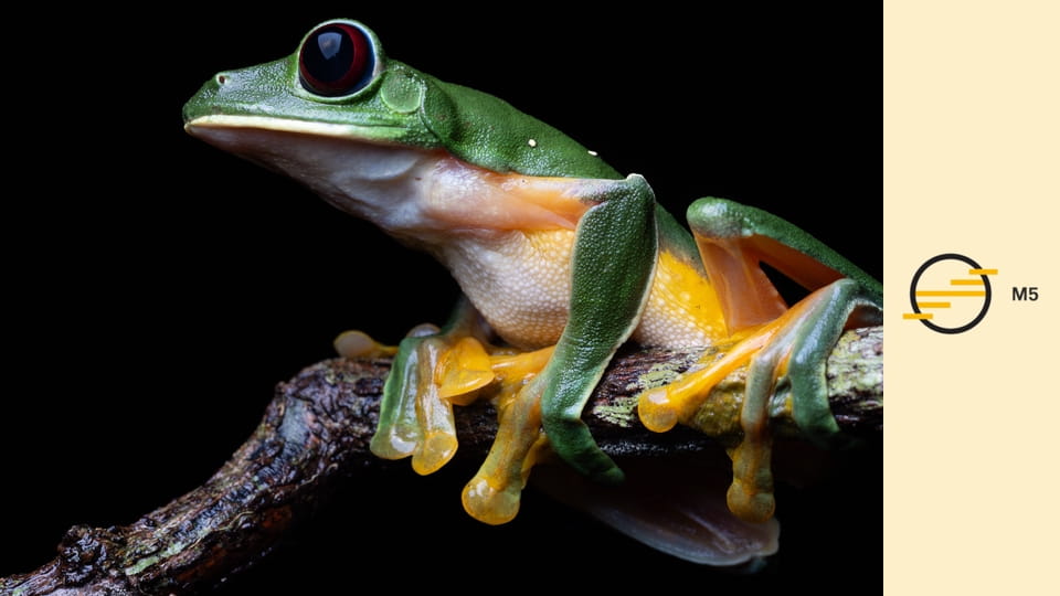 Bolygónk, a Föld 3 - Szélsőségek