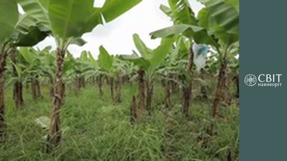 Season 13, Episode 8, Ecuador