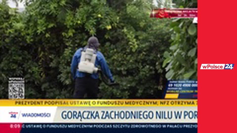 Budzimy się wPolsce24