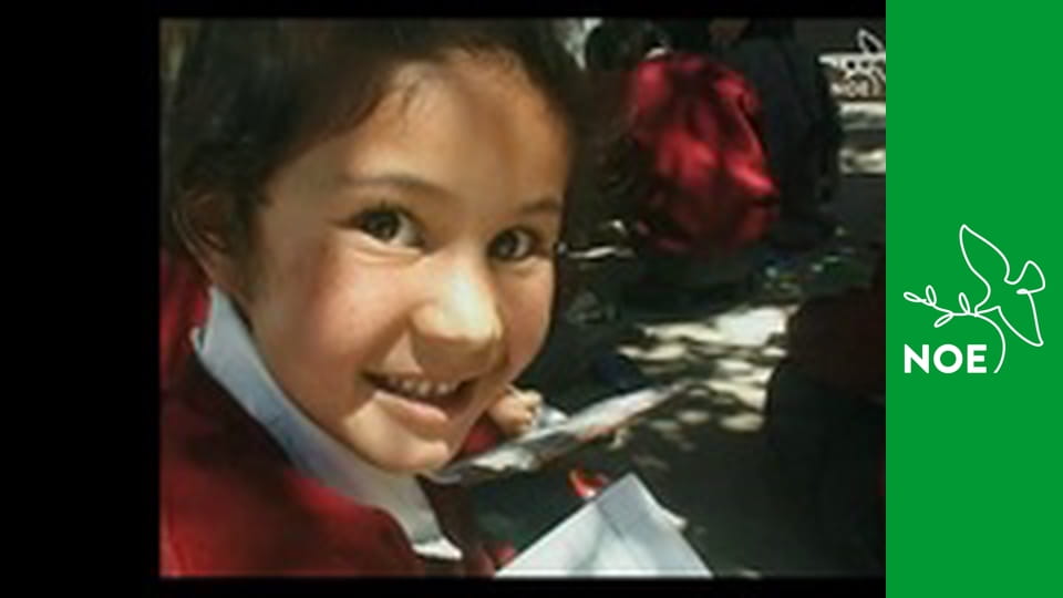 Noční repríza dopoledních pořadů