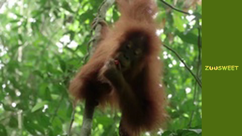 My favorite - episode 8