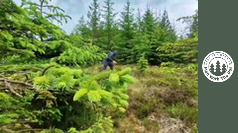 Рецепта за пица с пилешко месо, бекон и чили