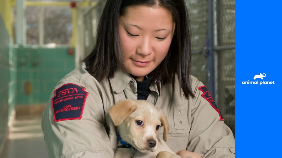 Veterinární policie: Filadelfie S12E11 - Odhalené farmy na štěňata