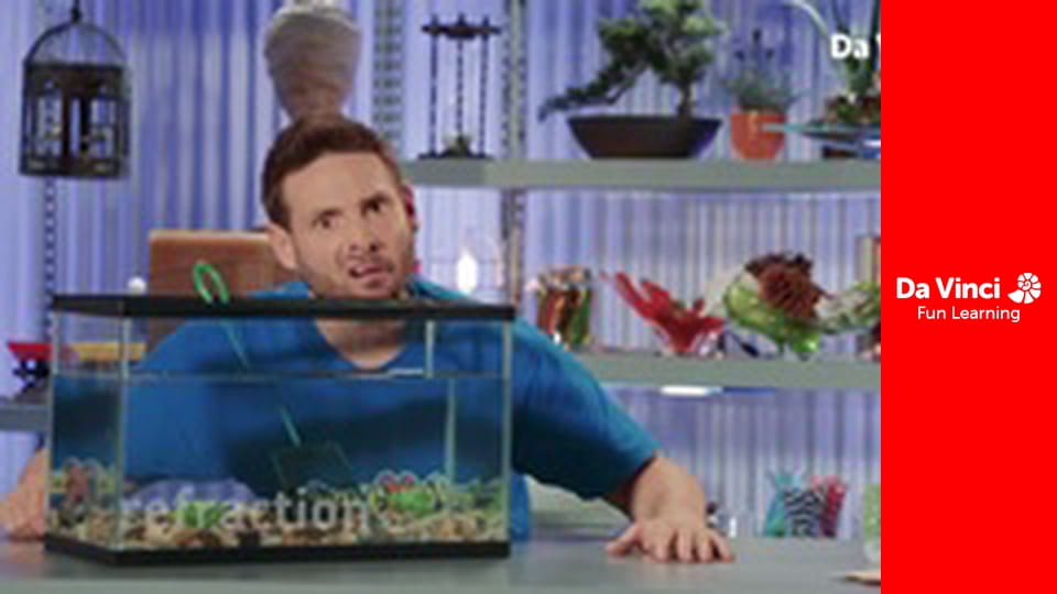 ScienceXplosion - A Reflection on Refraction