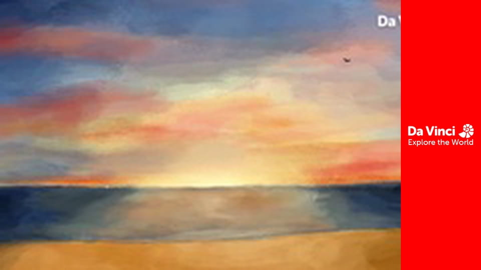 Állatkölykök - Sirályok