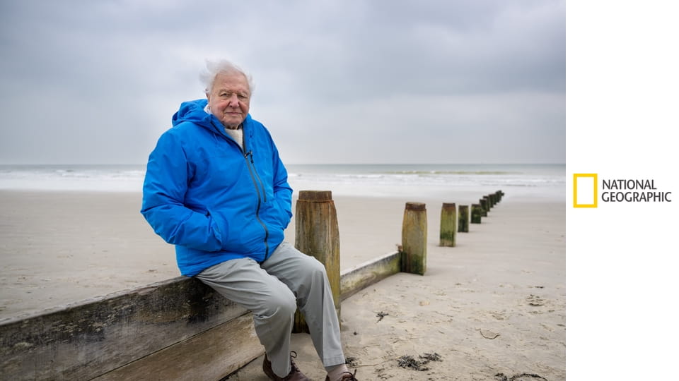 Океан с Дэвидом Аттенборо E1