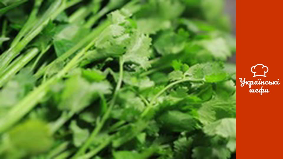 Pro  Salad - Series 11