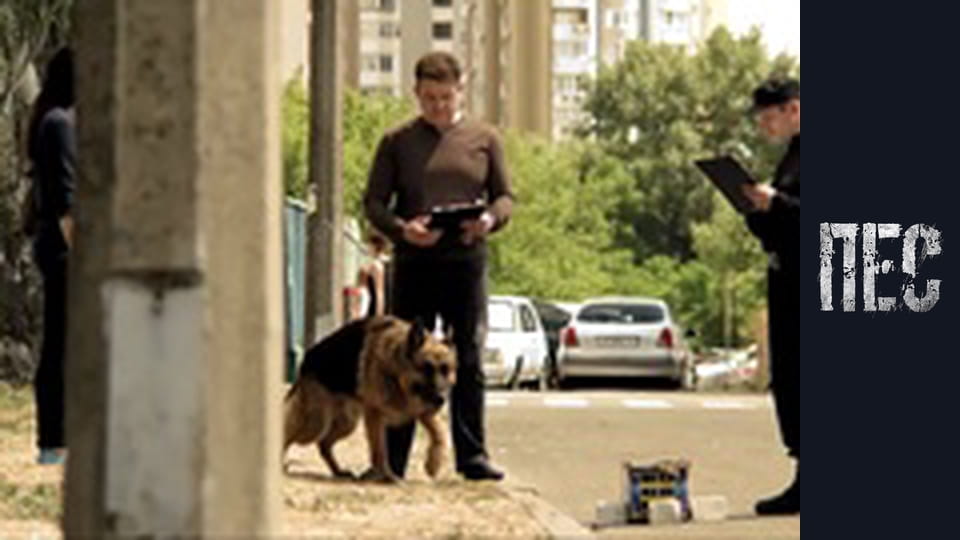 Dog, Season 3, Episode 1