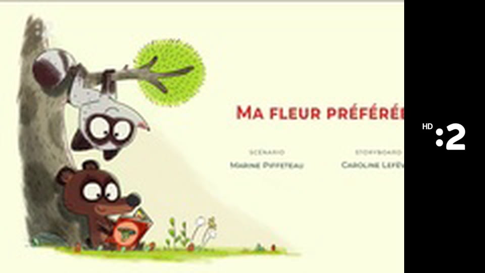 Medvedík Pompon E61 - Môj obľúbený kvet