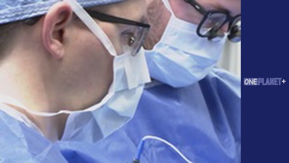 Your fantastic mind, Season 1, Episode 10