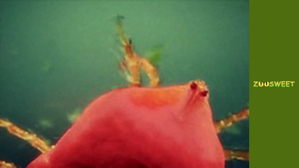 Wild life, Season 1, Episode 6