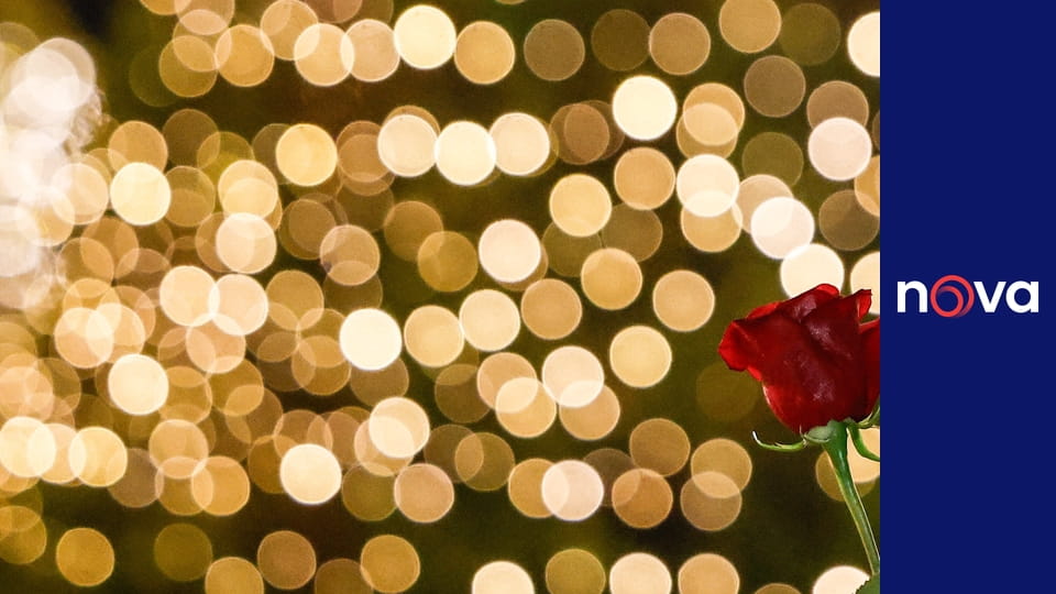 Bachelor Česko S2E1