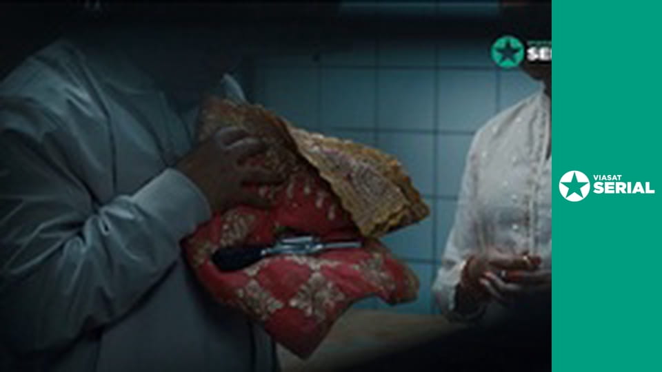 Т/с "Закон і порядок Торонто: злочинні наміри", 2 сезон, 8 с.