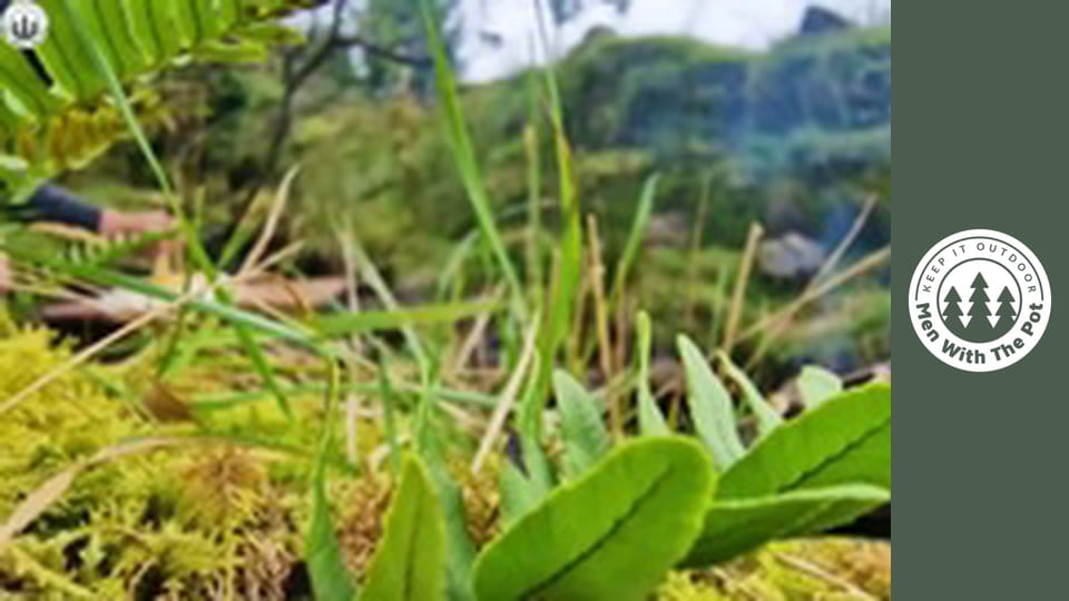 Най-добрата паста, приготвена в природата