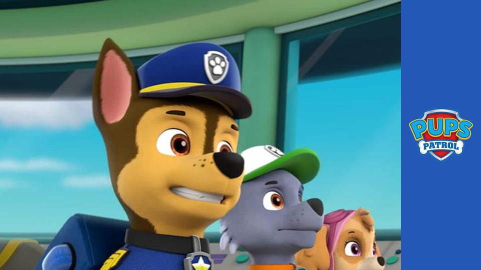 Psi Patrol Sezon 2 Odcinek 24