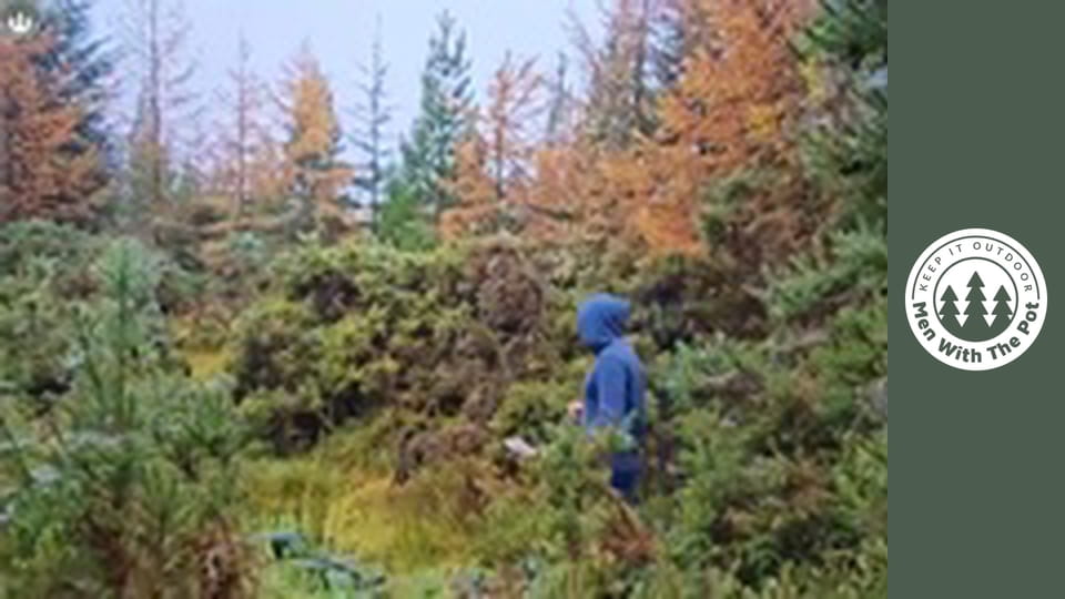 Gordon Ramsay's Ultimate Grilled Cheese Sandwich