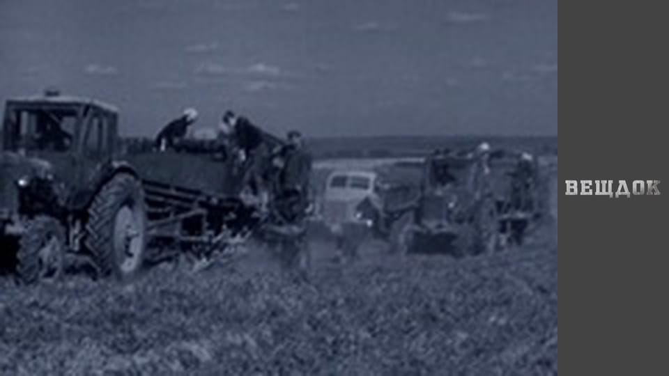 Рука майстра