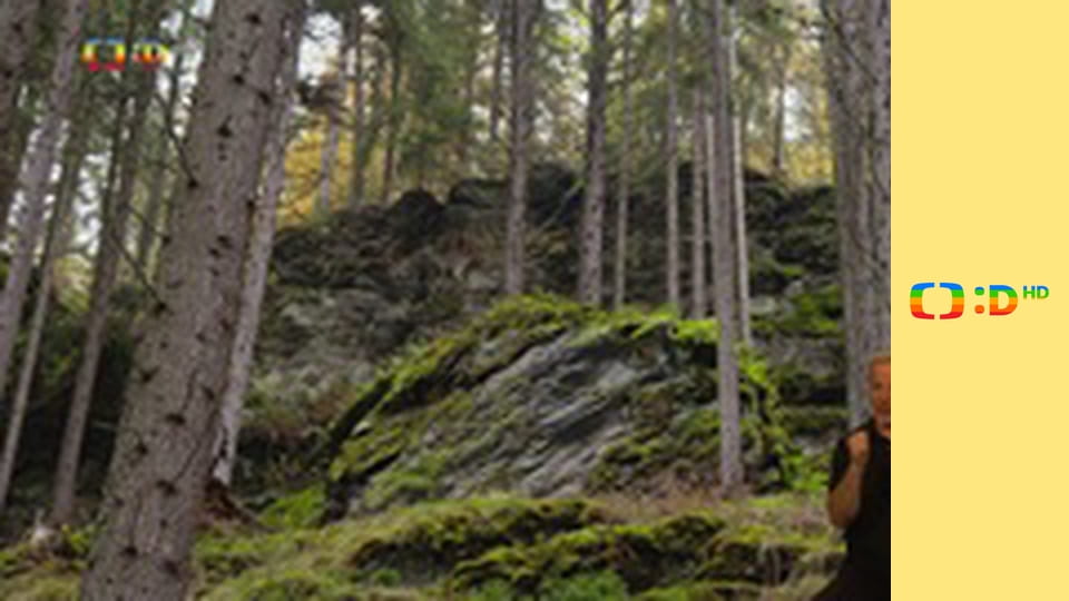 Domeček u tří koťátek