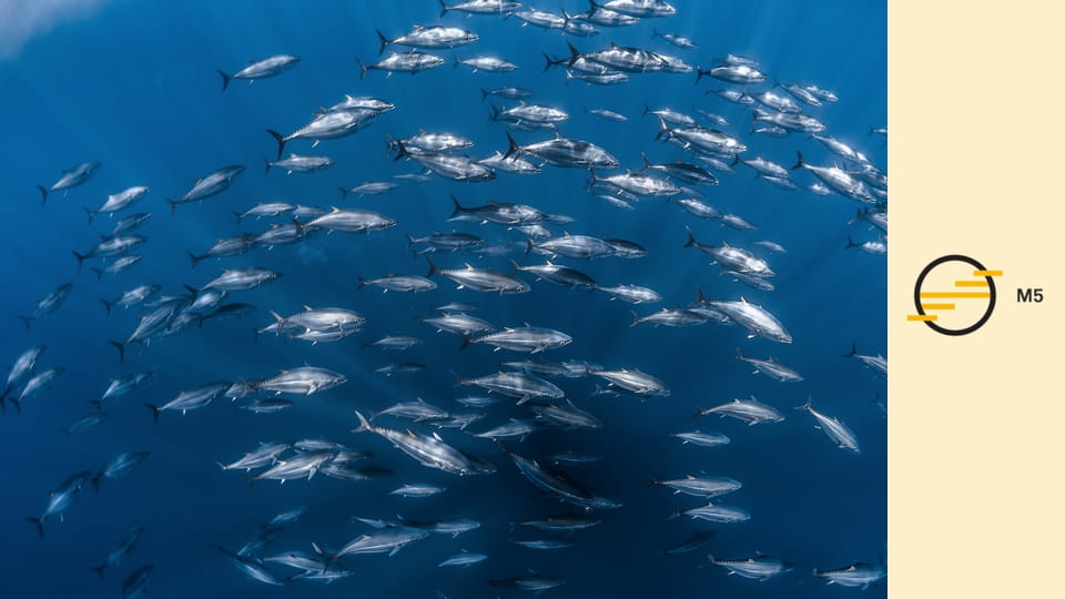 Átalakulóban a mediterrán élővilág - Időskor és újjászületés
