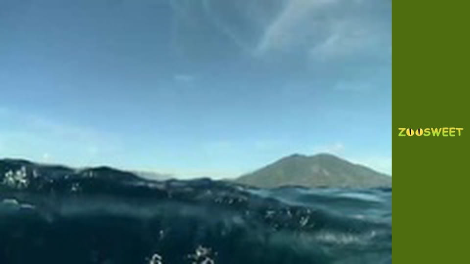 My friends are animals. Baby animals - episode 25