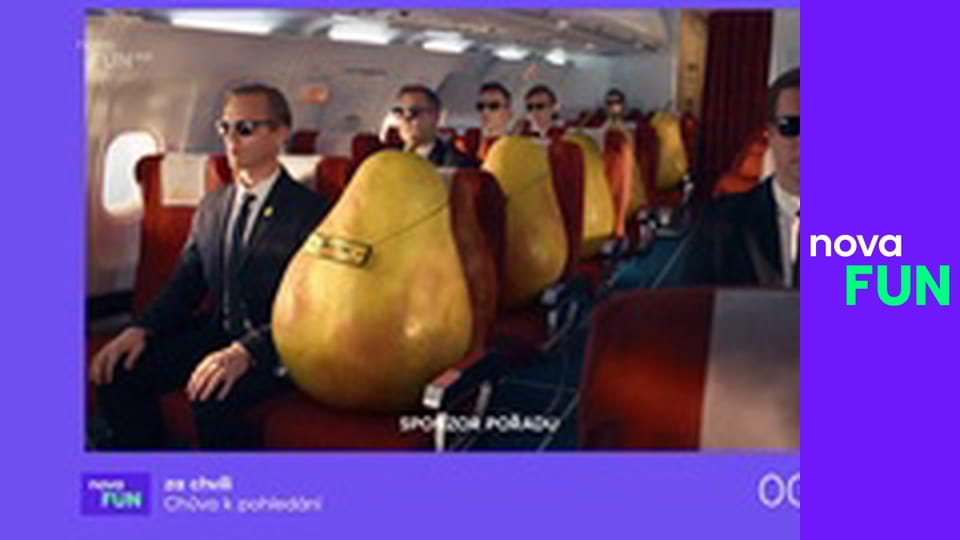 Chůva k pohledání E13