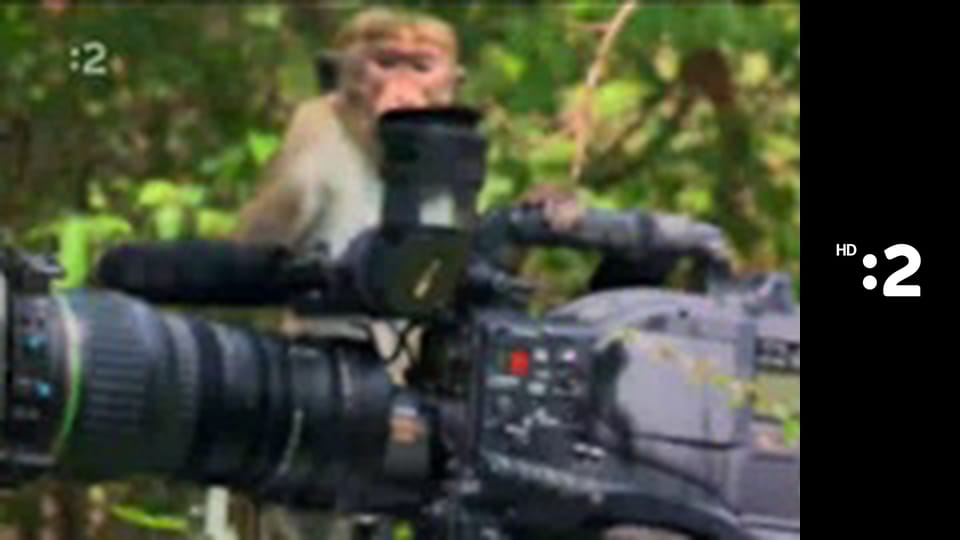 Slimák Maťo a škriatok Klinček E75 - Ako Maťo s Klinčekom krotili špagátik