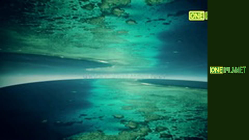 Большой Барьерный риф, 1 эп.