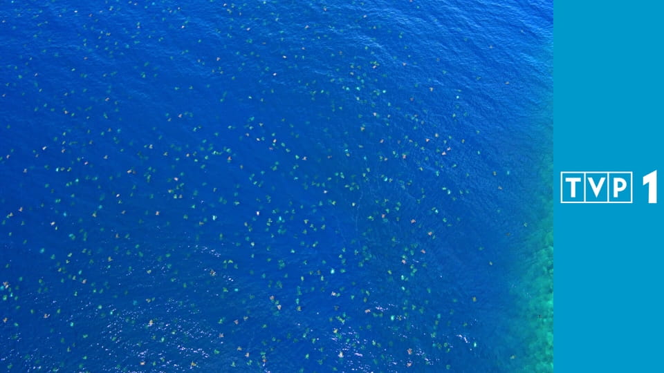 Planeta Ziemia III S3E2 - Oceany