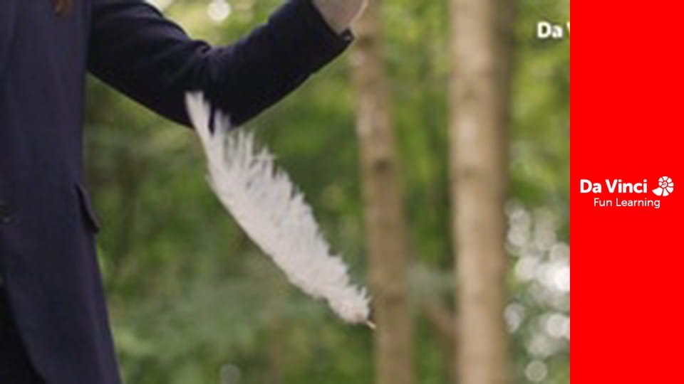 Magic Numbers: Hannah Fry's Mysterious World of Maths - Expanded Horizons